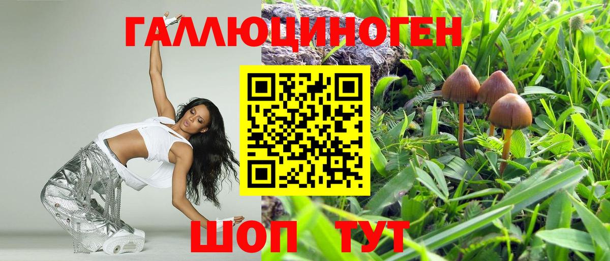 Псилоцибиновые грибы Psilocybe Карабулак